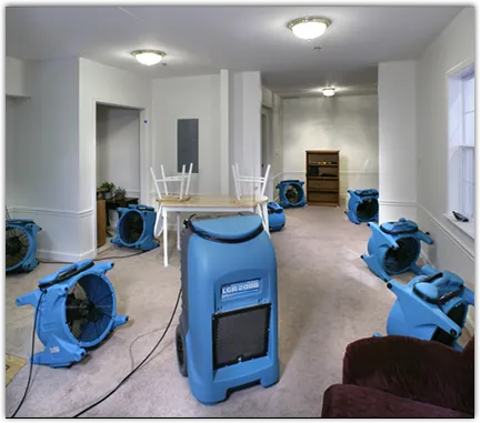 Emergency Water Damage Services in Alameda, CA