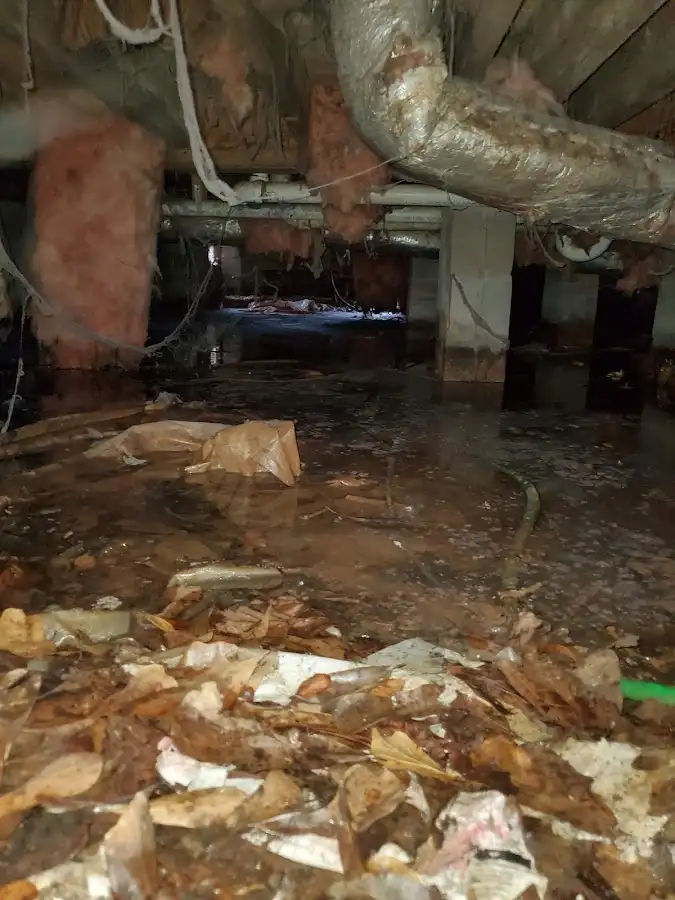 Crawl space flood assessment for Leak Detection & Repair in Alameda