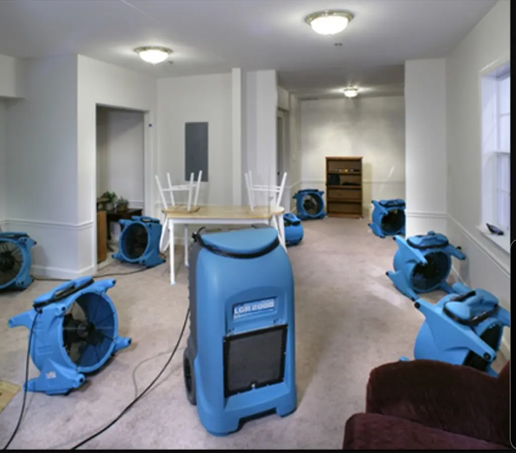 Air movers and dehumidifier setup for Water Extraction & Removal in Alameda