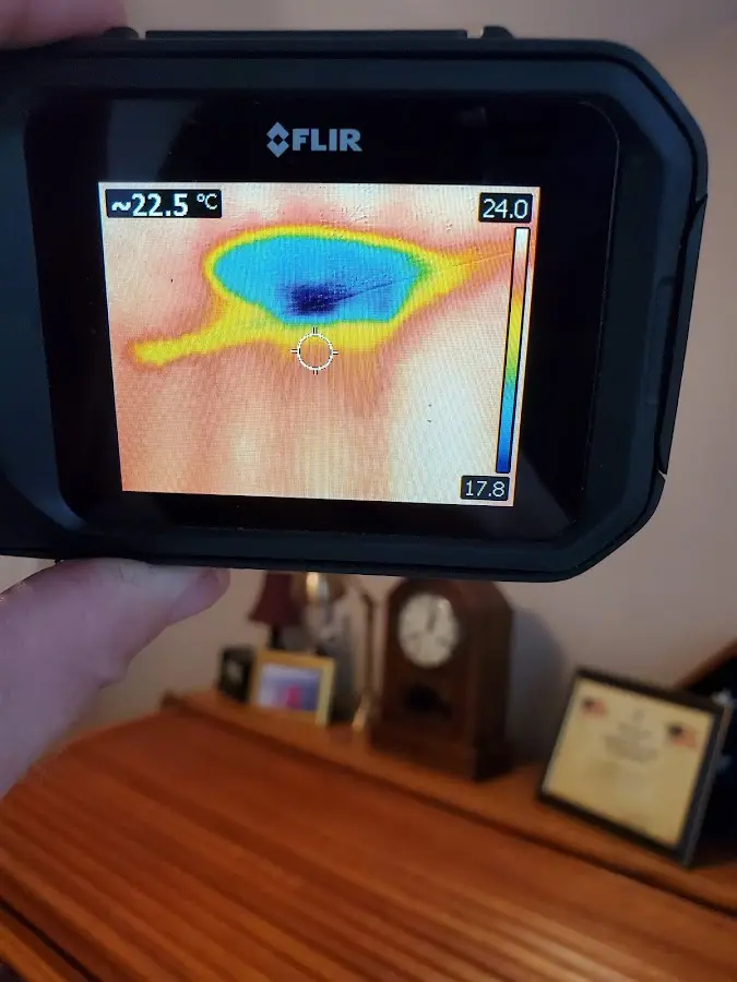Thermal imaging inspection for water damage in Alameda